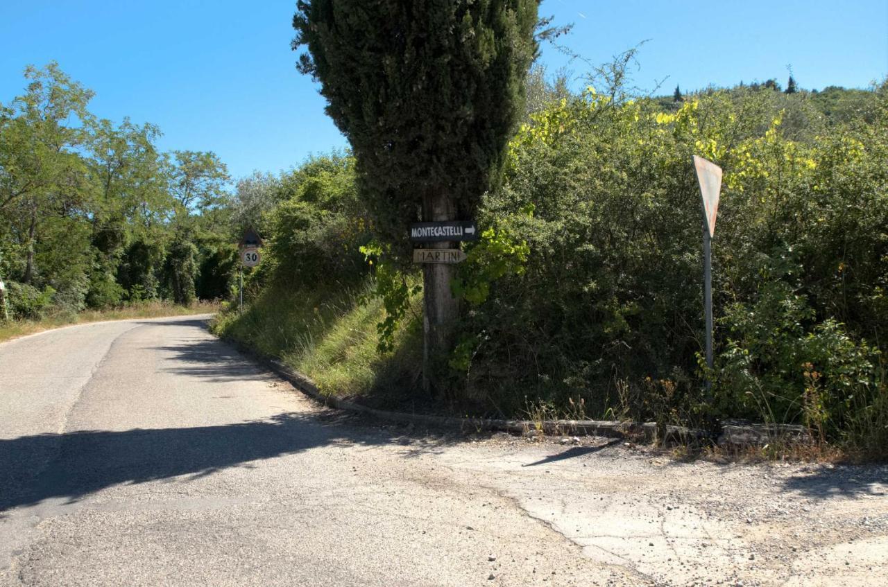 Casa Degli Ulivi - Cottage With Swimming Pool Castellina in Chianti Εξωτερικό φωτογραφία