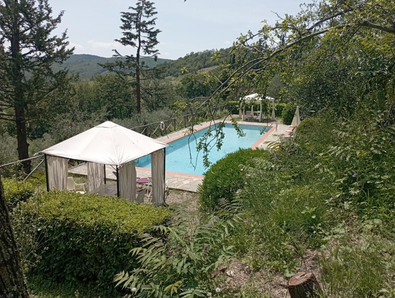 Casa Degli Ulivi - Cottage With Swimming Pool Castellina in Chianti Εξωτερικό φωτογραφία
