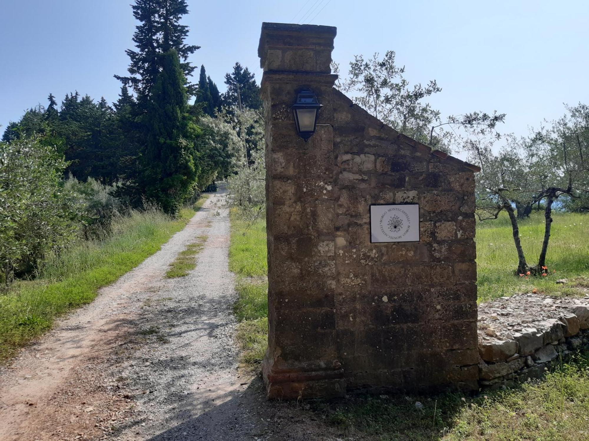 Casa Degli Ulivi - Cottage With Swimming Pool Castellina in Chianti Εξωτερικό φωτογραφία